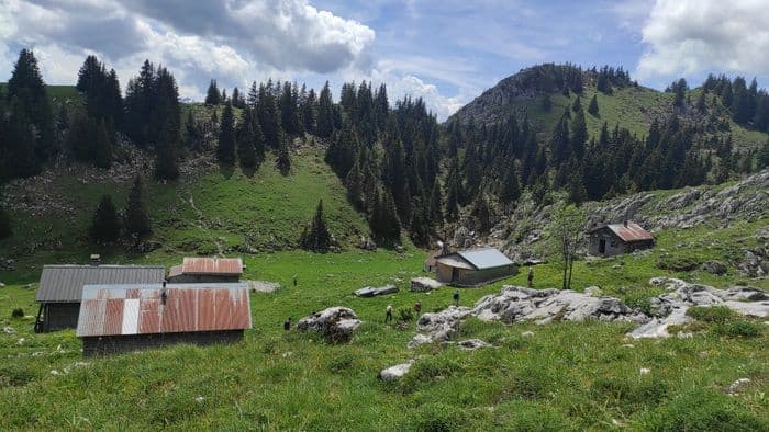Du grabuge dans les pâturages · photo 1