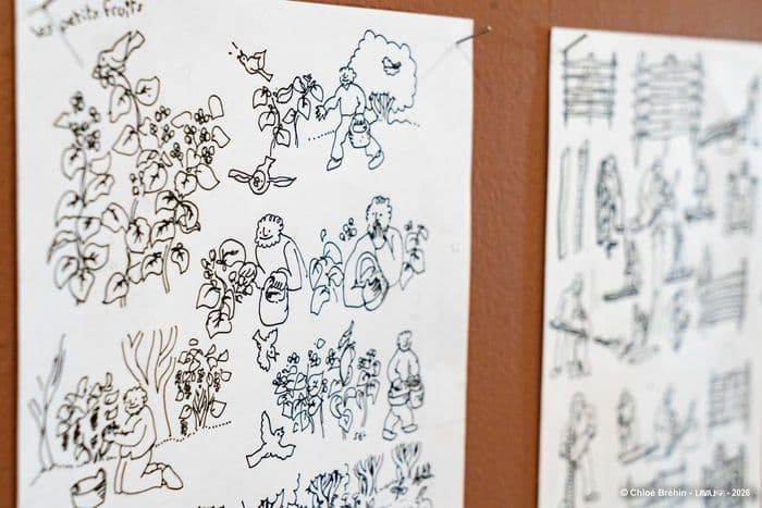LE MANAS (MUSÉE D'ART NAÏF ET DES ARTS SINGULIERS VERS UN JARDIN D'HUMANITÉS · photo 1