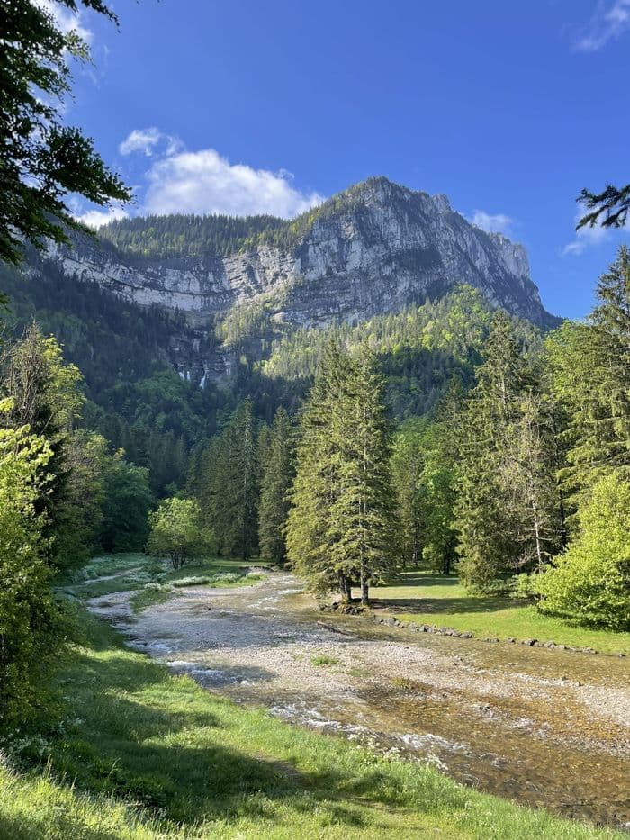 Visite sylviculture : la forêt de Chartreuse · photo 1