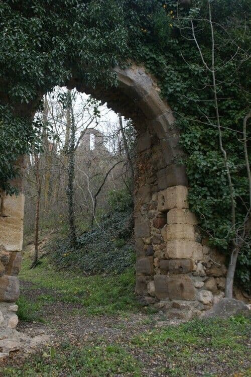 Découverte de la biodiversité autour de la Chapelle et du Château de Laroche · photo 1