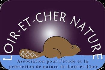 La Nuit de la chauve-souris · photo 1