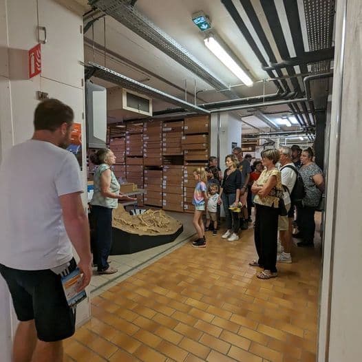 Visites guidées des réserves archéologiques · photo 1