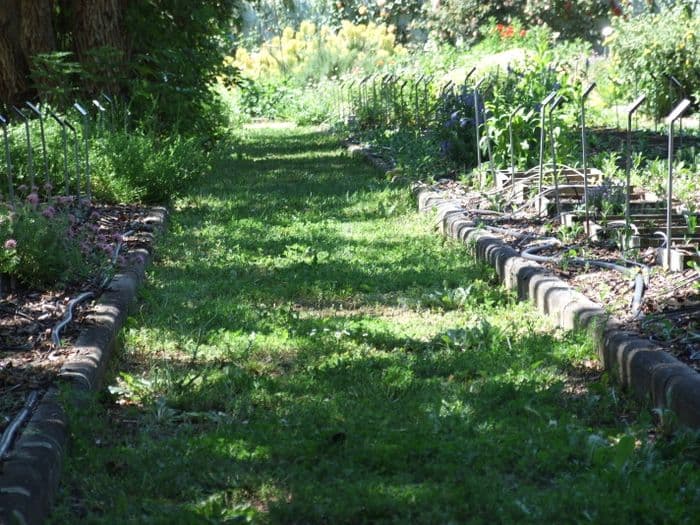 Visite du jardin Botanique de Clermont Ferrand · photo 1