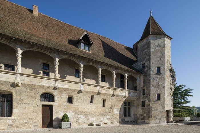 Visite libre du château-musée Henri IV · photo 1