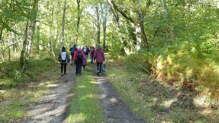 Une marche en pleine nature, avec un professionnel de la randonnée et un naturaliste · photo 1