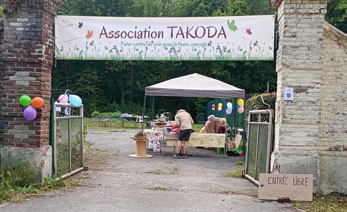 A la découverte du futur centre Takoda : quand le patrimoine historique s'engage pour la faune sauvage !   🦉🌿 · photo 1