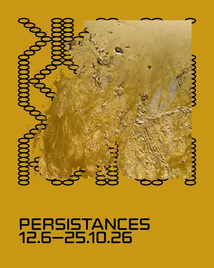 Exposition "Persistances" - Hassan Darsi · photo 1