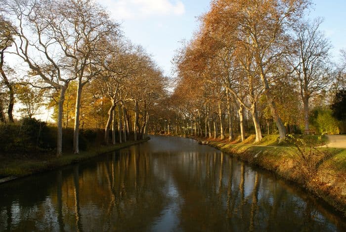 Conférence "Des paysages en héritage. Récits d'arbres en Méditerranée" par Véronique Mure · photo 1