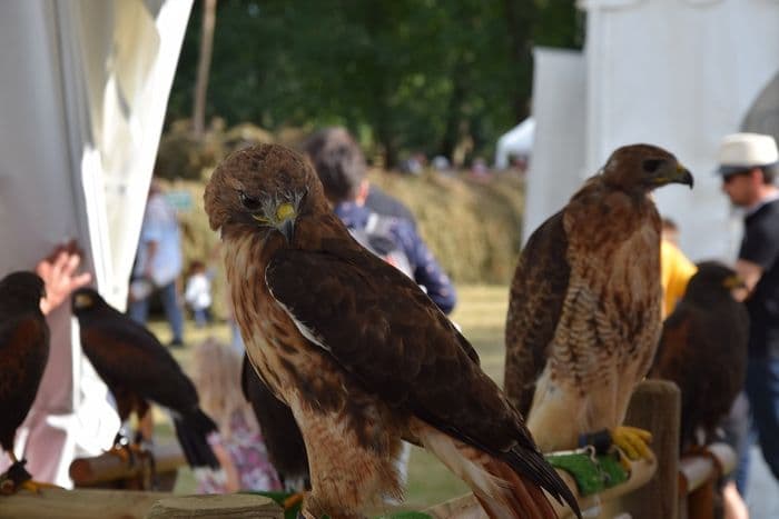 Fête de la Sange · photo 1