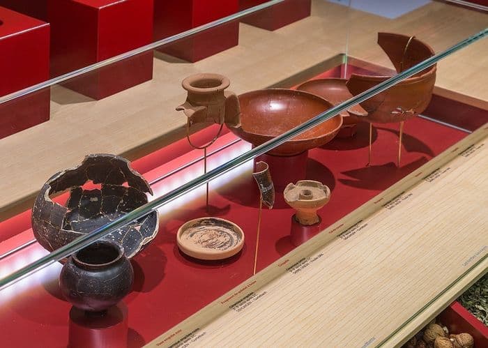 Visite du musée et du  site archéologique · photo 1