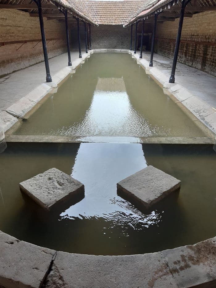 Visite du lavoir de Dannemoine · photo 1