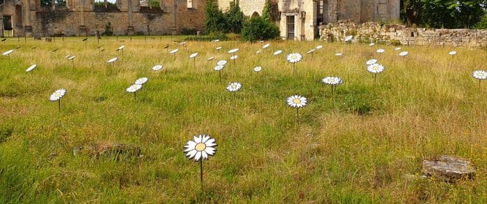 Floraison majeure · photo 1