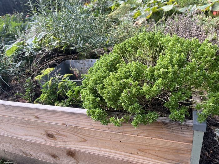 ATELIER d'INITIATION au JARDINAGE · photo 1