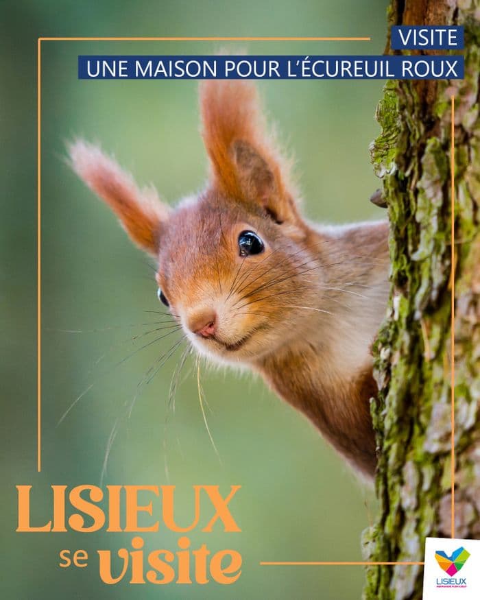 Visite - Une maison pour l'écureuil roux · photo 1