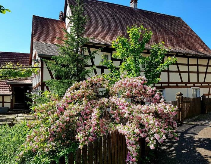 Visite et animations à la Maison Rurale de l'Outre-Forêt · photo 1