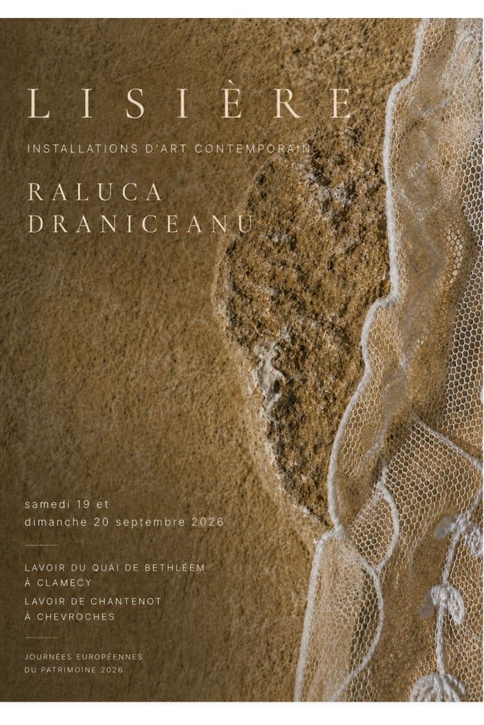 Installations d'art contemporain par Raluka Draniceanu · photo 1