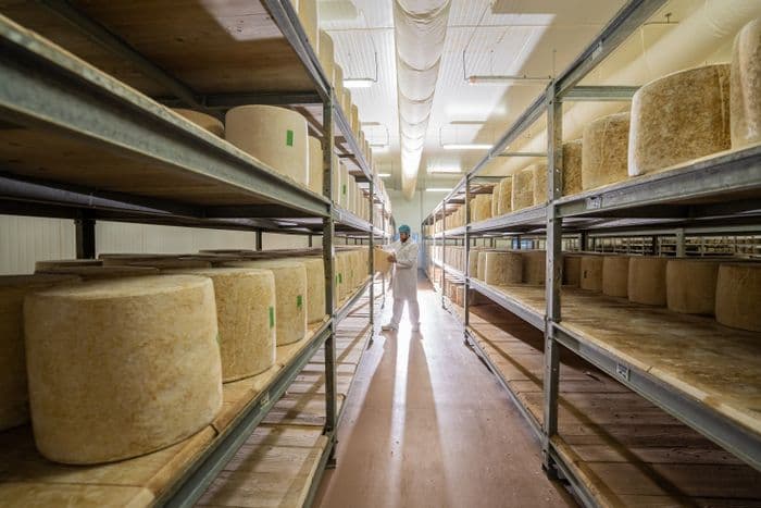 Visite guidée : découvrez la fabrication du cantal AOP au lait cru et du fromage Le Thérondels 🧀 · photo 1
