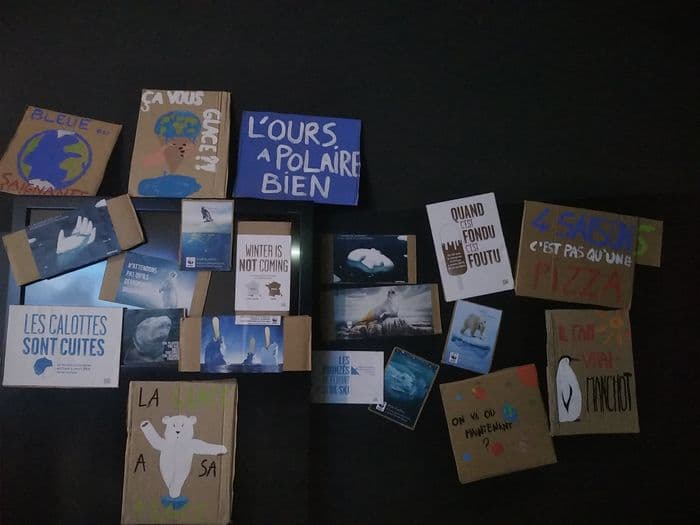 Atelier en continu et en autonomie « Il fait vrai-manchot ! » · photo 1