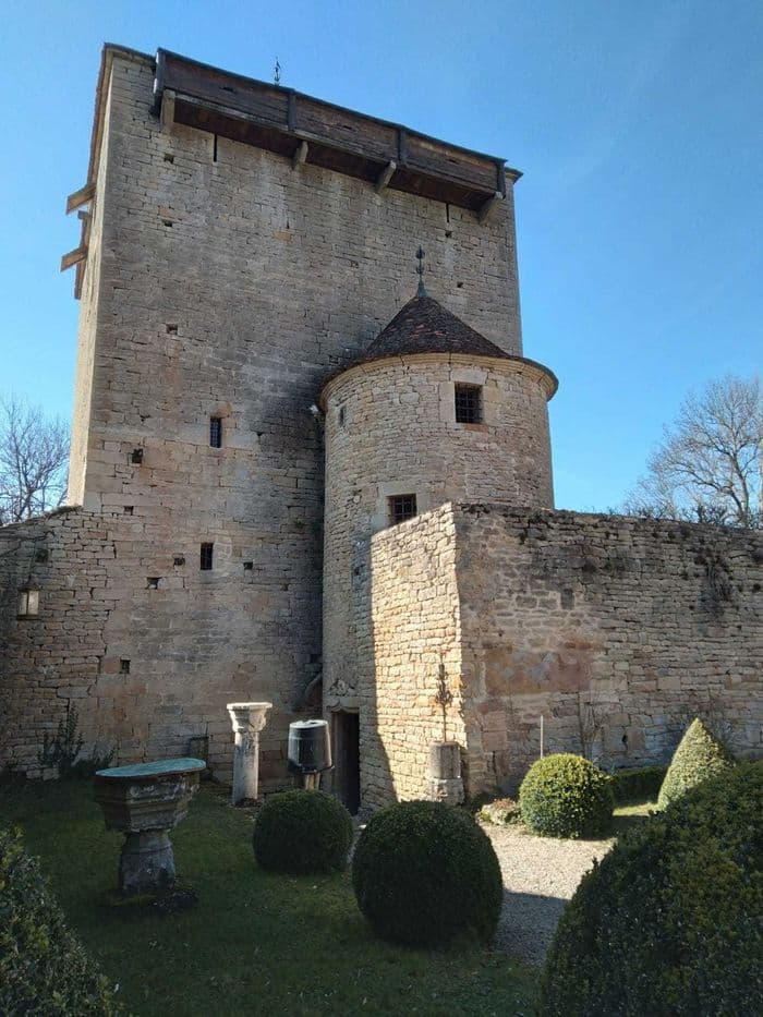 Visite du château de Soussey-sur-Brionne · photo 1