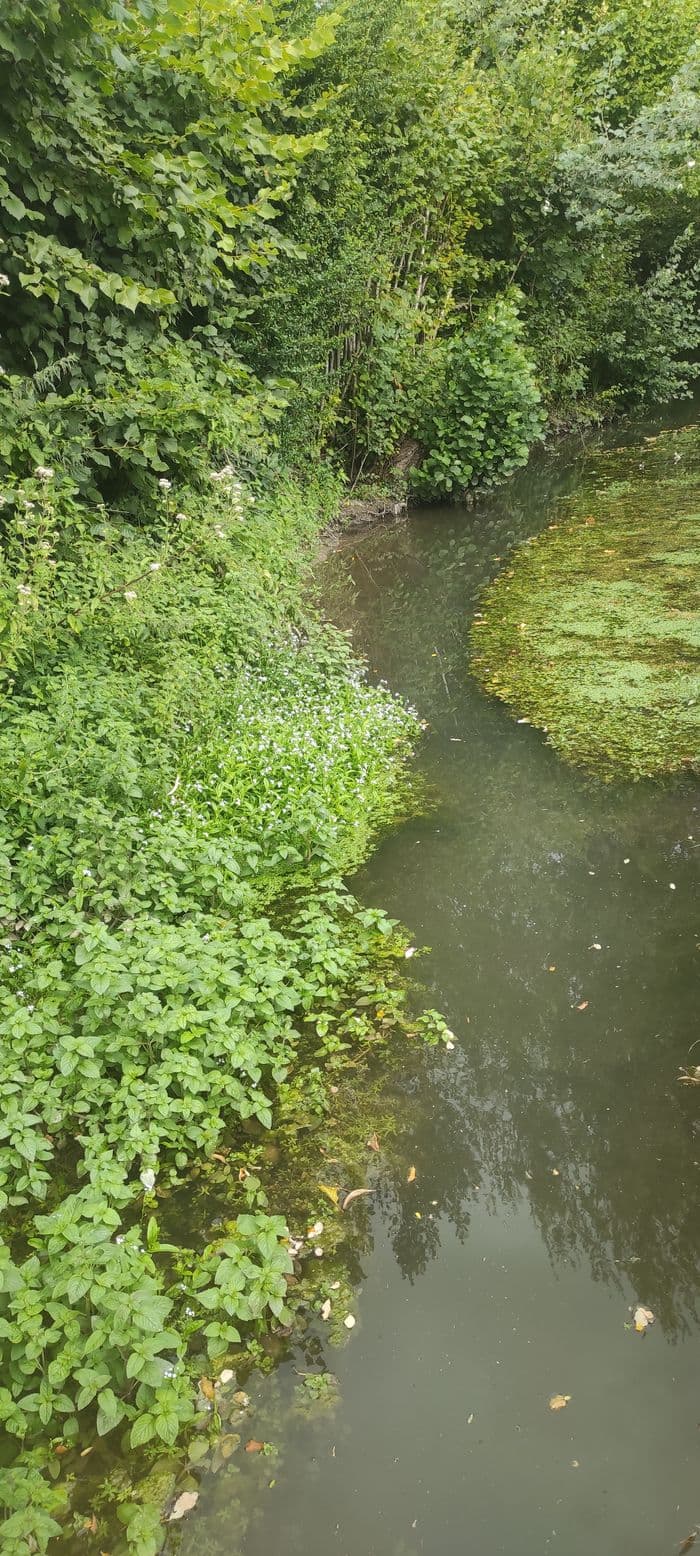 L'eau: un patrimoine précieux à préserver · photo 1