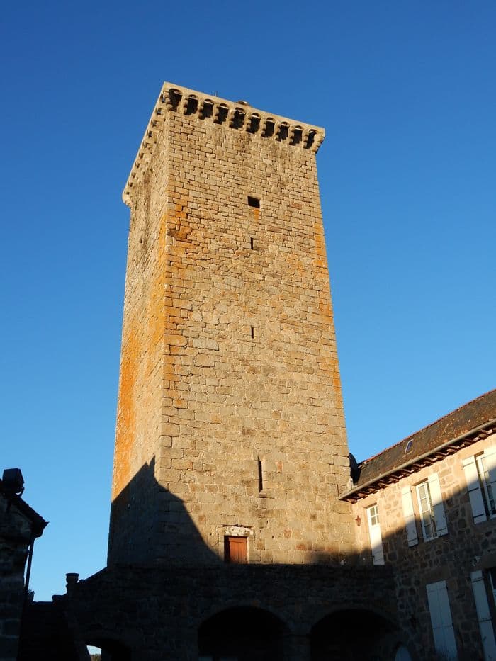 Visite guidée de la tour médiévale de Teyssieu · photo 1
