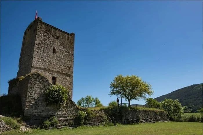Visite libre de la tour médiévale de Chanac, dominant la vallée du Lot lozérienne · photo 1