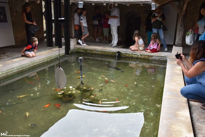Visite du lavoir Sainte-Geneviève · photo 1