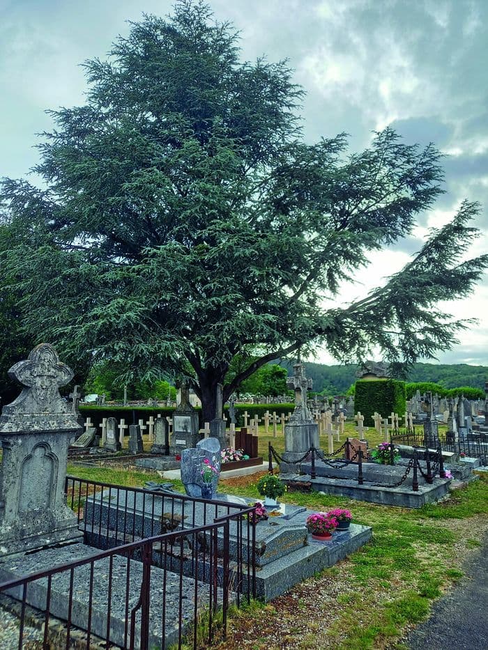 Promenade commentée · photo 1