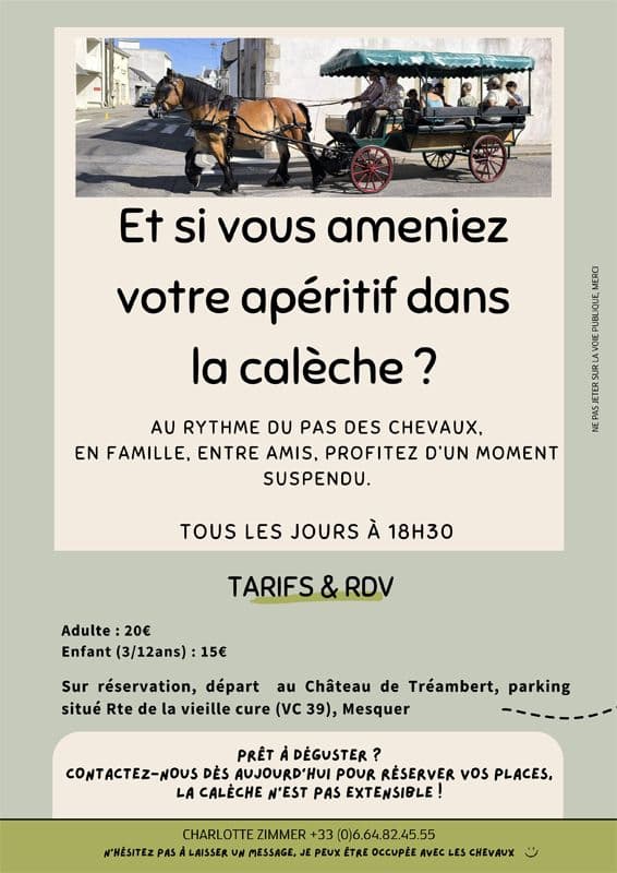Balades en calèche · photo 1