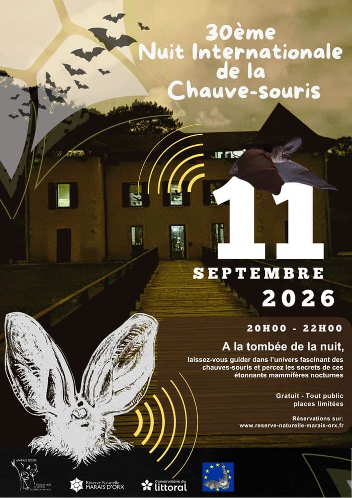 Sur les traces des chauves-souris · photo 1