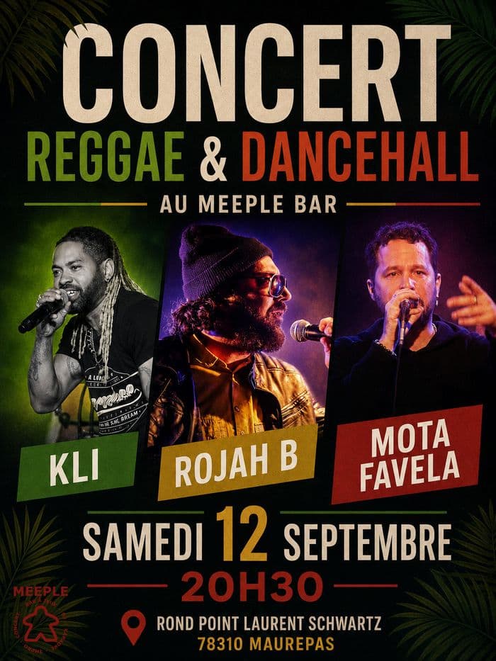 Concert Reggae & Dancehall au Meeple Bar · photo 1