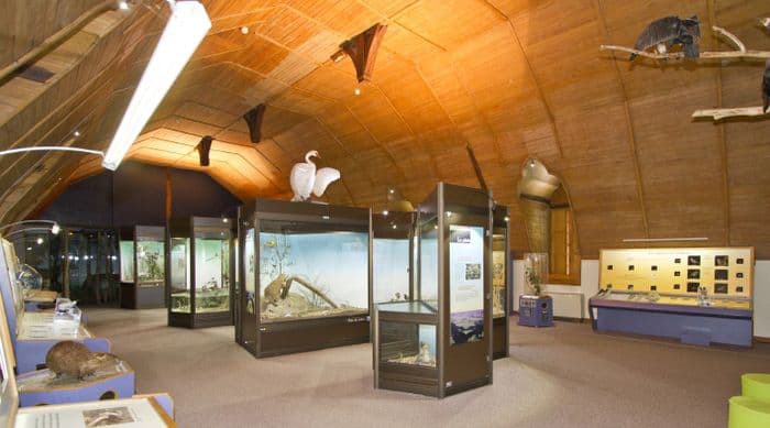 Visite libre de l'exposition "Le Blésois, carrefour de régions naturelles" · photo 1