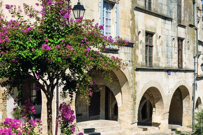 Fleurs et patrimoine : un nouveau regard sur la ville · photo 1