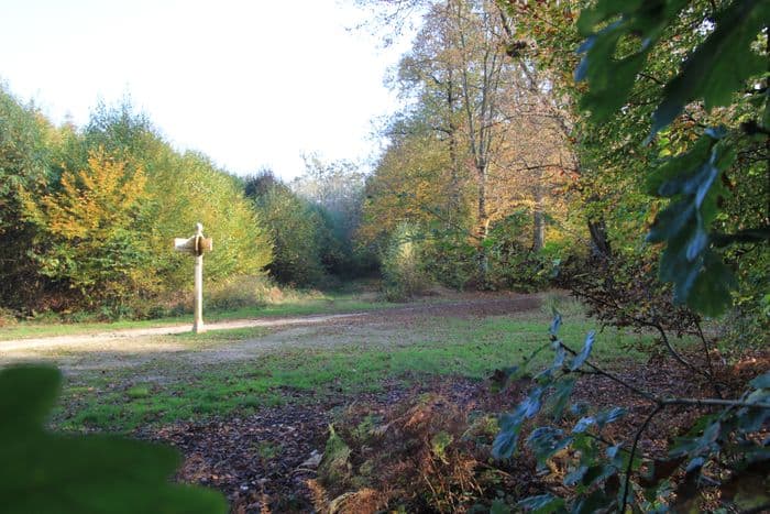 Découverte, en randonnée, de la forêt régionale de Ferrières, de son histoire et de sa gestion · photo 1