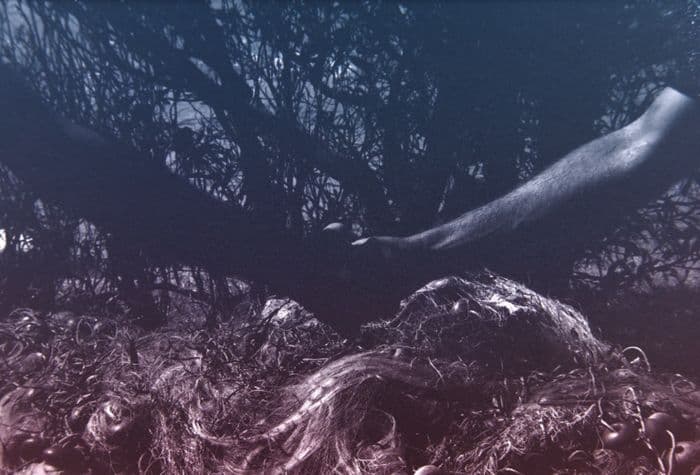 "Totano" d'Alex Ayed · photo 1