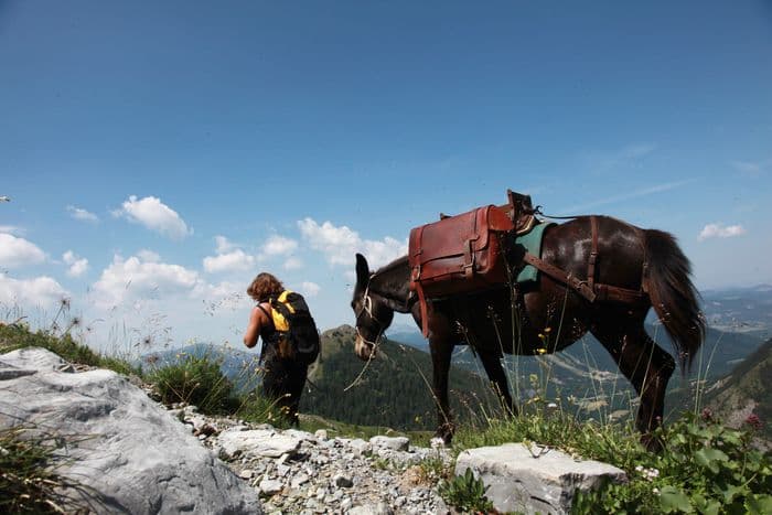 Mulet et environnement naturel · photo 1