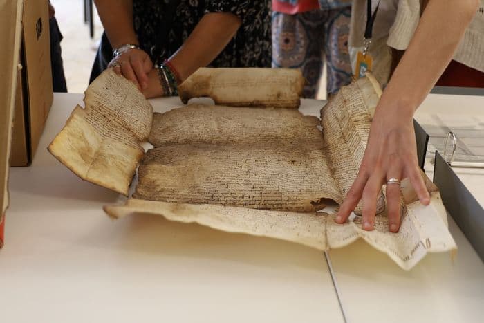 Atelier "La conservation en action" · photo 1