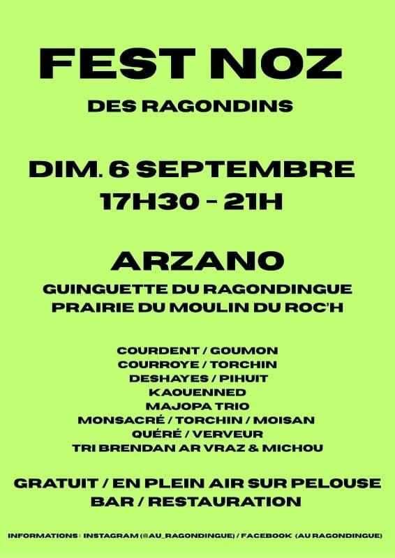 FEST DEIZ HA NOZ · photo 1