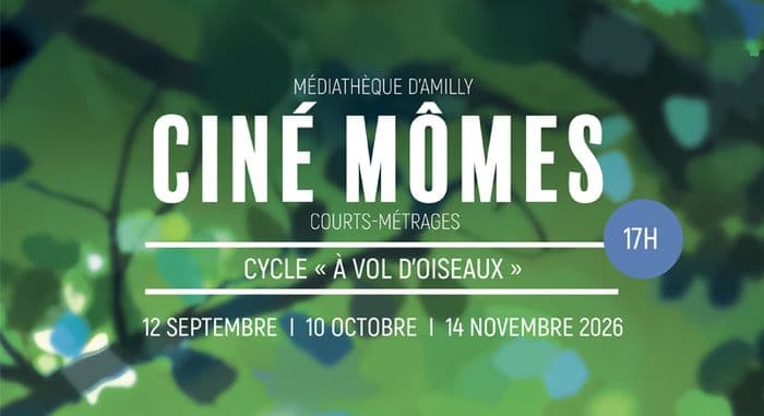 Ciné Mômes à la médiathèque - Courts-métrages Cycle "à vol d'oiseaux" · photo 1