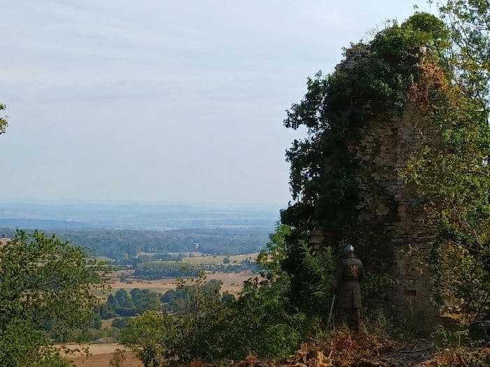 Visite commentée du site des ruines du château médiéval d'Oiselay · photo 1
