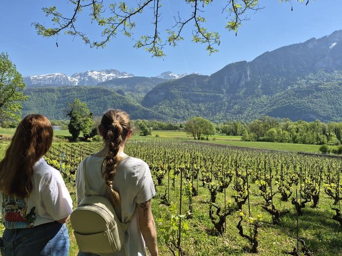 A la découverte du vignoble d’Ayze et du Gringet · photo 1