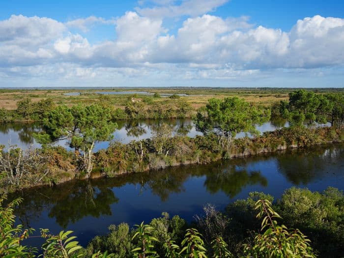 Visite « ornitho-historique » de la réserve ornithologique du Teich · photo 1
