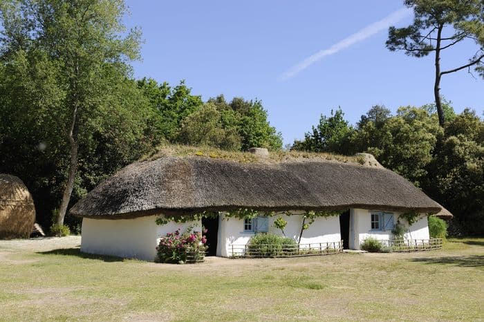 Visites et animations à la Bourrine du Bois Juquaud · photo 1