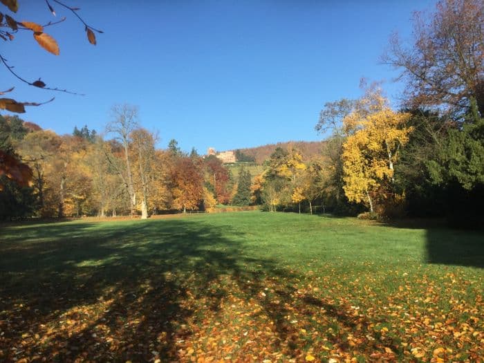 Visite commentée du parc du manoir de Kintzheim · photo 1