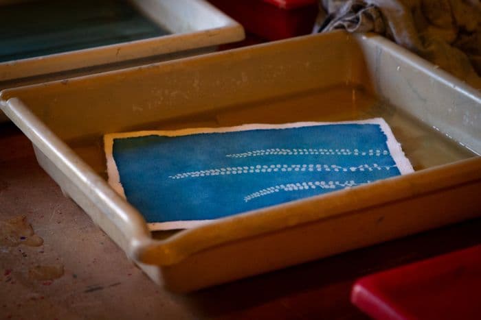 Atelier cyanotype · photo 1