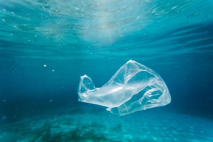Conférence : “La vie de ma mer (sans plastique)” · photo 1