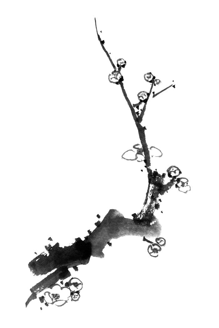 Expo-Vente : Thierry Buisson - Encre de Chine · photo 1