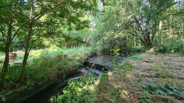 Journées du Patrimoine - Visites commentées du Moulin de Fleuri · photo 1