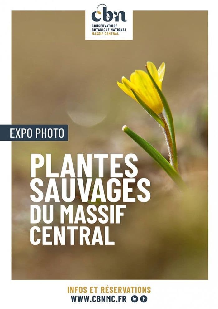 EXPO - Plantes sauvages du Massif central à Guéret · photo 1