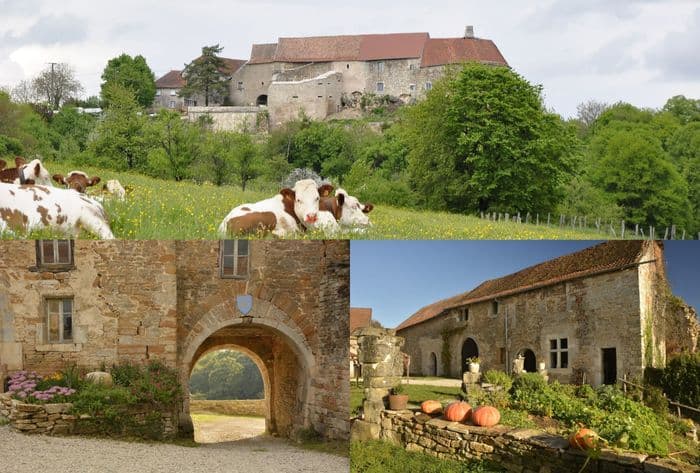 Visite, animations médiévales, combats, saynète. · photo 1
